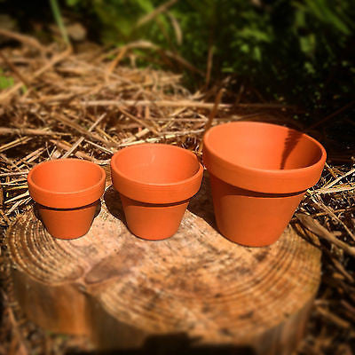 Mini Terracotta Pots 1 - 50 pcs - Extra Small, Small, Medium, Large & Extra Large Plant Pots
