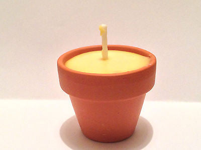 Small Mini Terracotta Plant Pots 6cm x 7cm x 4cm (HxDxBD)