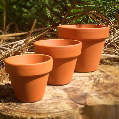 Terracotta Pots 1~50 pcs - Small, Medium & Large Planters, Plant Pots - Crafts