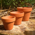 Terracotta Pots 1~50 pcs - Small, Medium & Large Planters, Plant Pots - Crafts