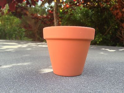 10 Small Terracotta Plant Pots 6.8cm diameter