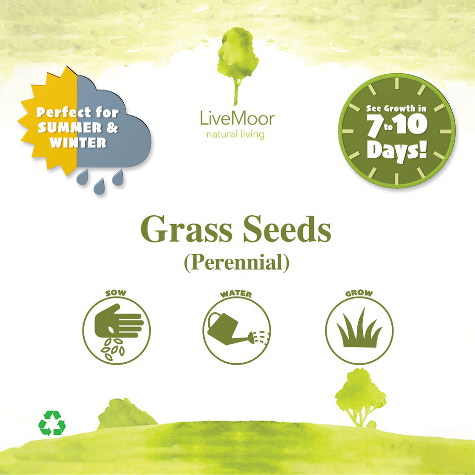 LiveMoor Grass Seeds - High Quality - Various Sizes