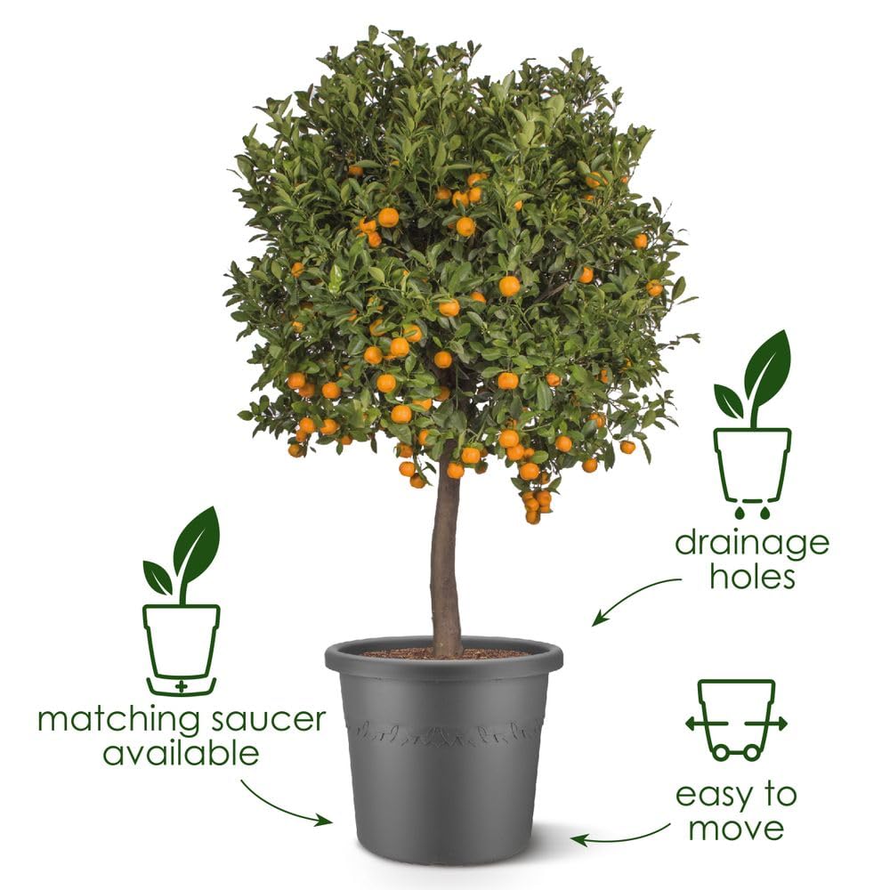 3e1192a11ca608568fbdb145dc263cea