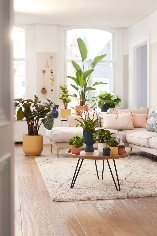 54aaa7aa292f43b3e7795297f4fe13e7