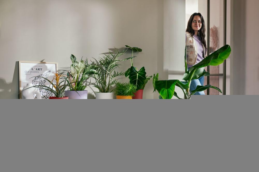 296221e72398f971fa47f50cfbf9fb53