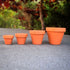 Vintage Style Terracotta Plant Pots 1~50 pcs, 4 different sizes, Bulk, Wholesale