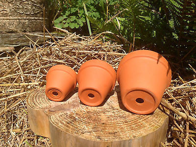 Terracotta Pots 1~50 pcs - Small, Medium & Large Planters, Plant Pots - Crafts