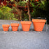 Vintage Style Terracotta Plant Pots 1~50 pcs, 4 different sizes, Bulk, Wholesale