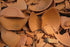 Small Mini Terracotta Plant Pots 6cm x 7cm x 4cm (HxDxBD)