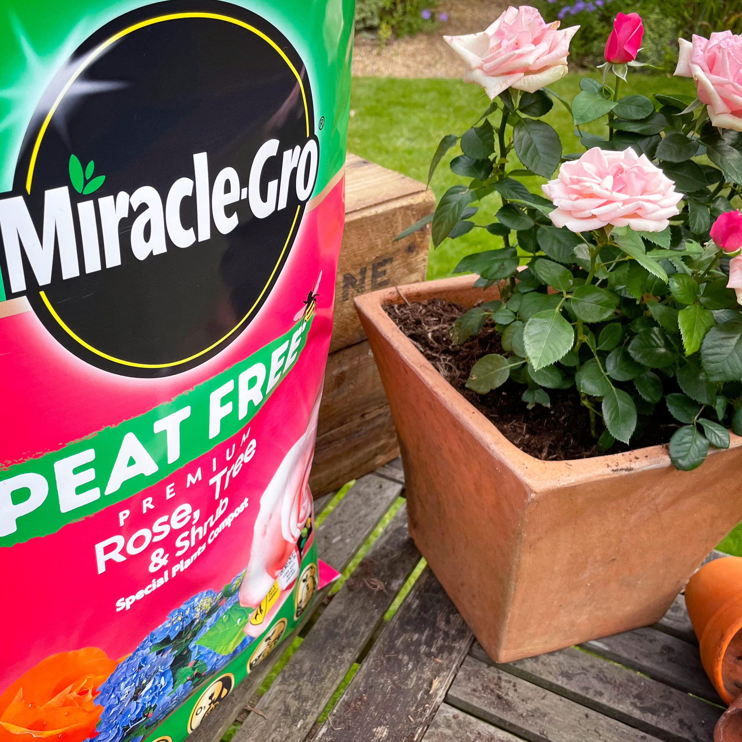 9183d476ade5e60a31307b0018043f57