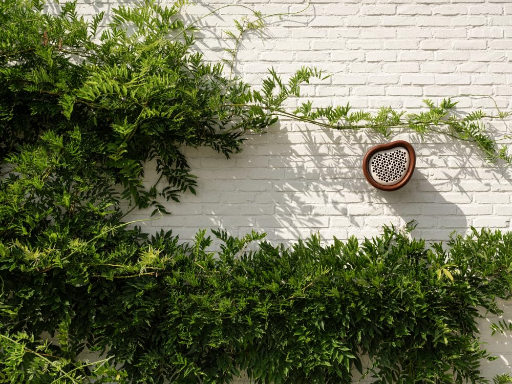 21da7af5cf7db284e8b8b21051157ab0