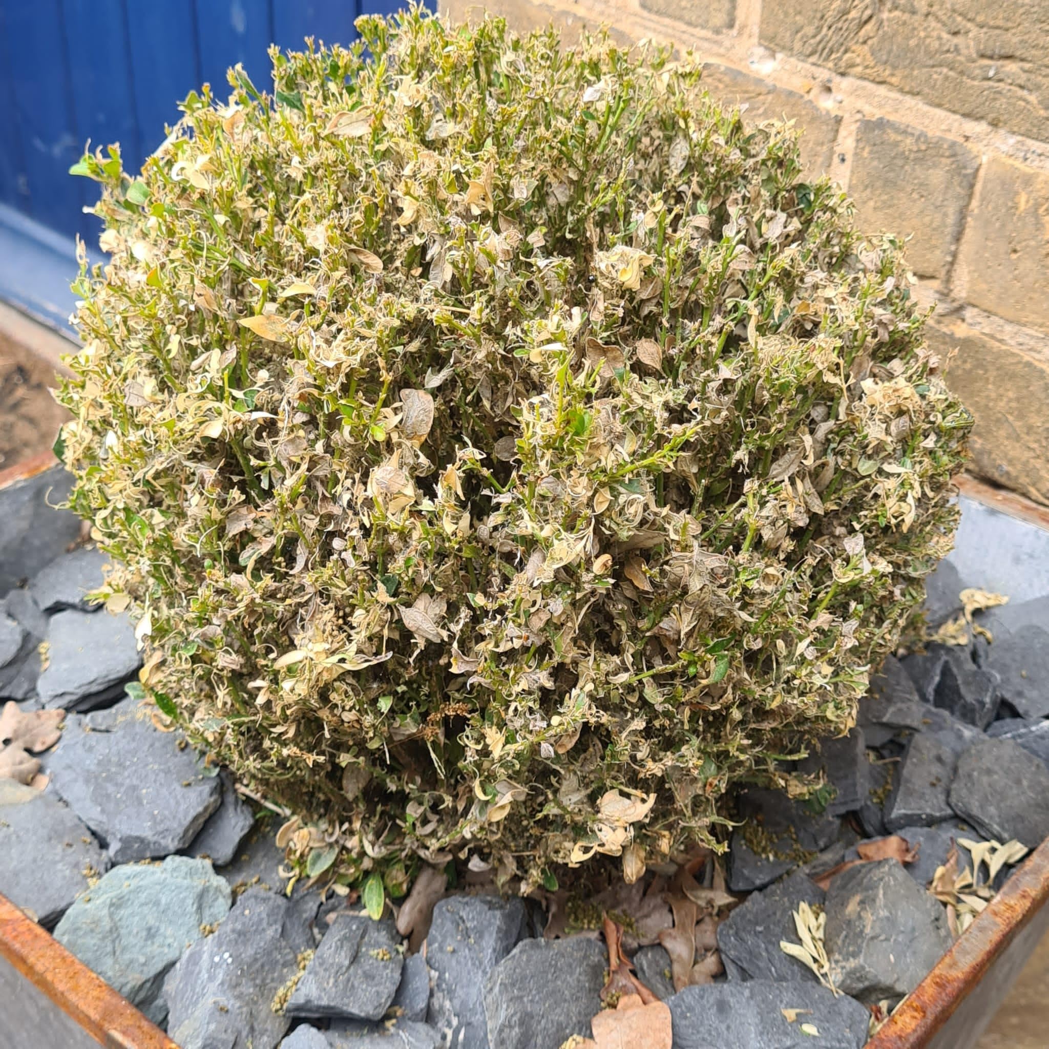 49ecfa5d149776c30eed218ec64b1d31