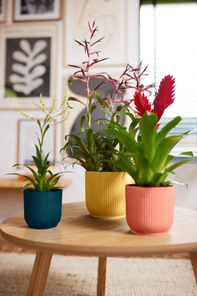 71a0a7d9f202c97f2b0ba065f4a860b3