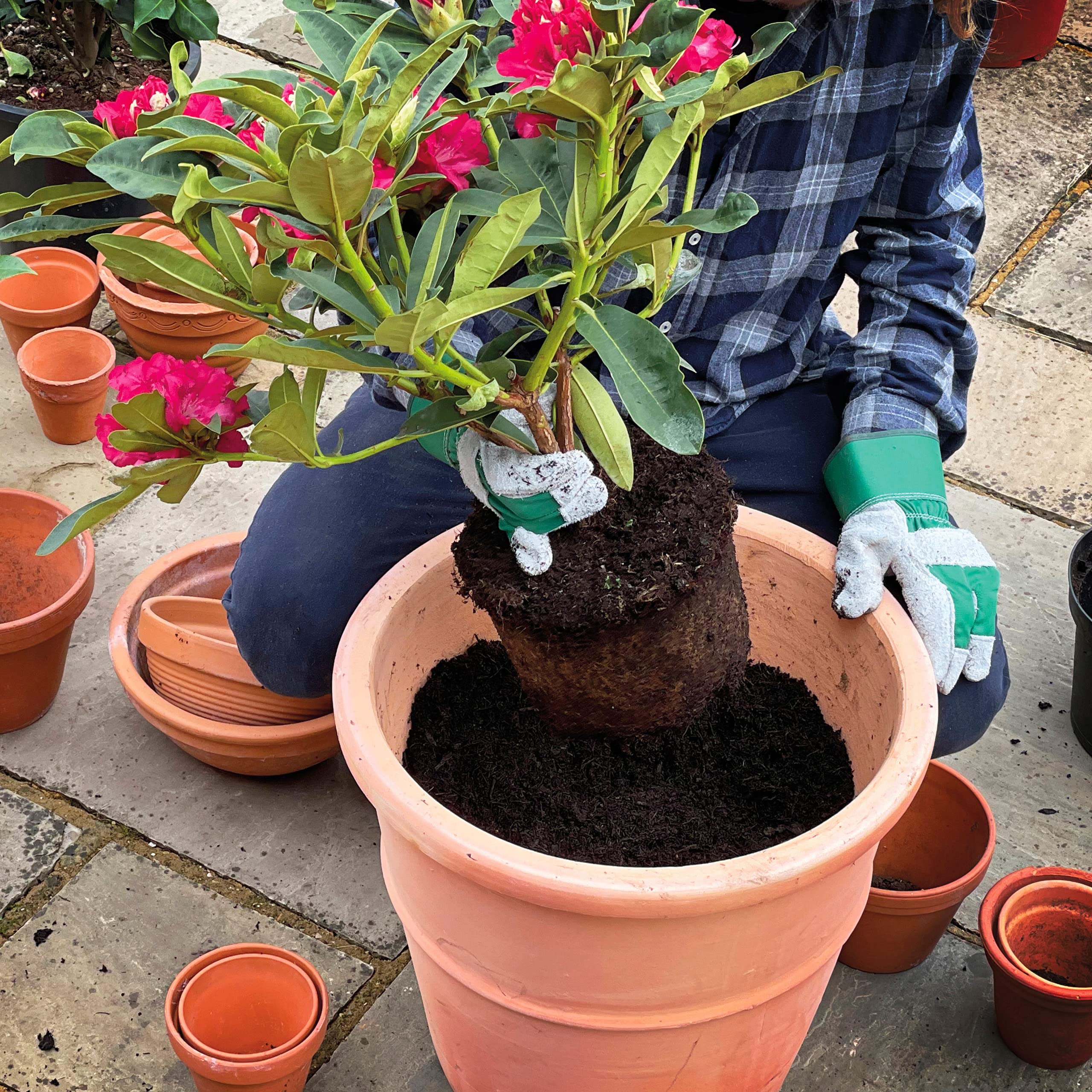 4f3ea5343b7c8ea0353182148d664b2d