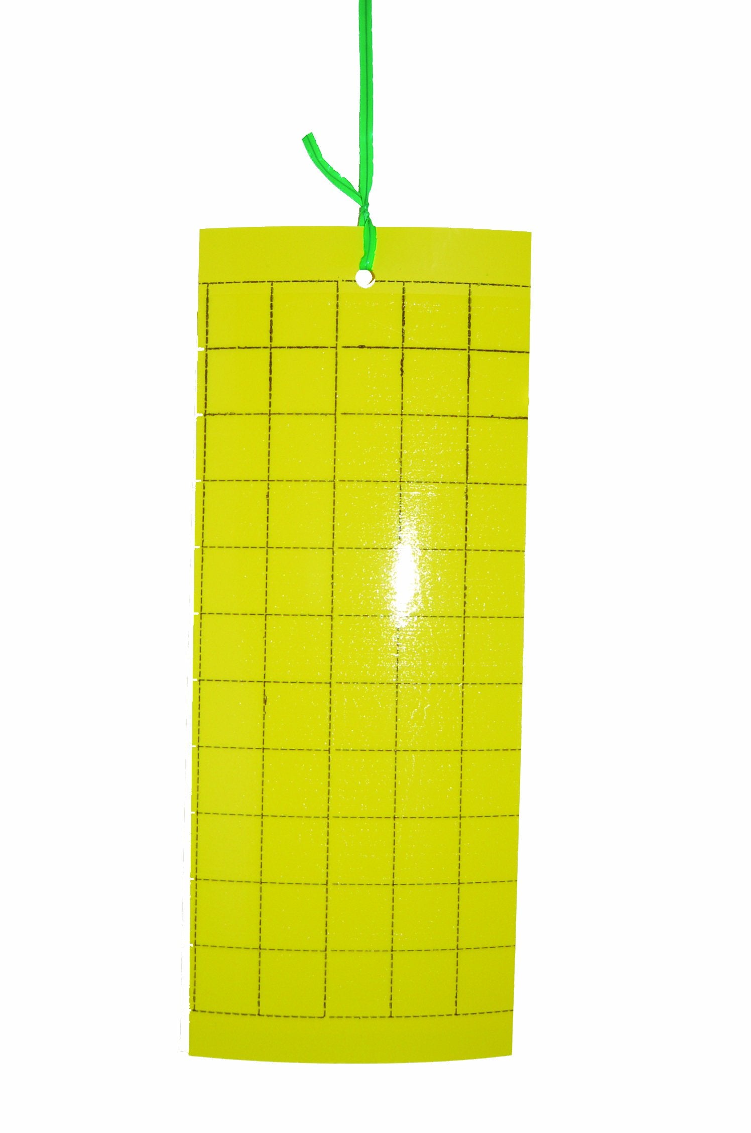 1150fcbf548f7c0b37b1808bc3107694