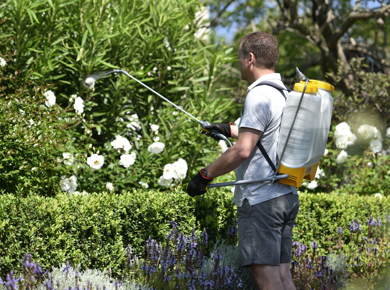 deeabb62573ca6d5e0b2a79b8a2d2203