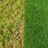 Miracle-Gro Evergreen Complete 4-in-1 Lawn Food, Weed & Moss Control, 360 m2, Yellow
