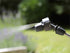 a018e90456403019731a60aab20a7cfb