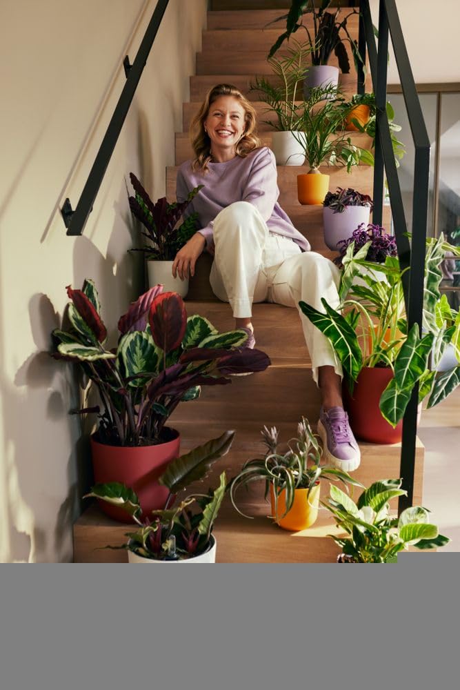 65e281c2c3006b6156b7f937b81c19ff