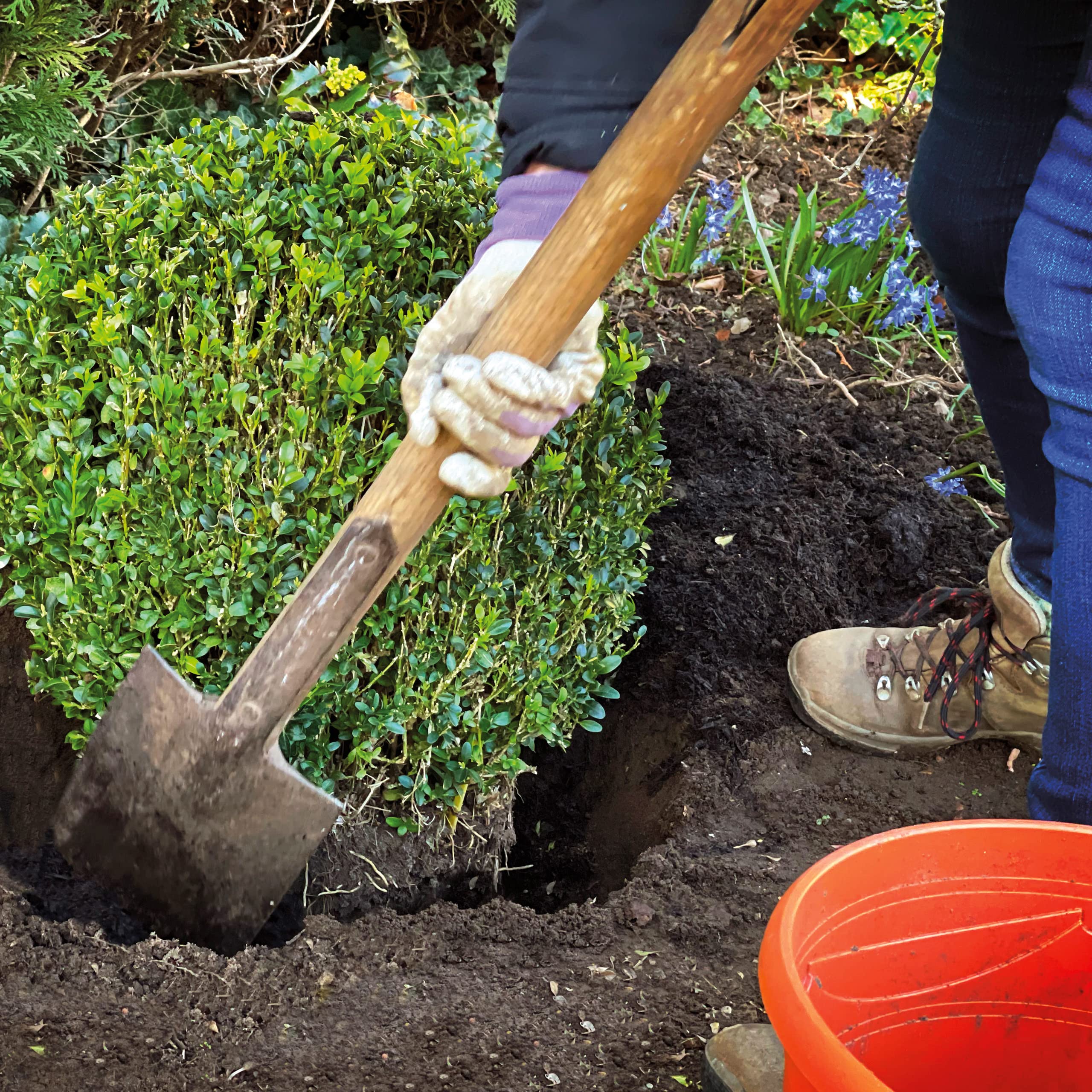 81dac14e9c4f31750c4cd92e9b025eb1