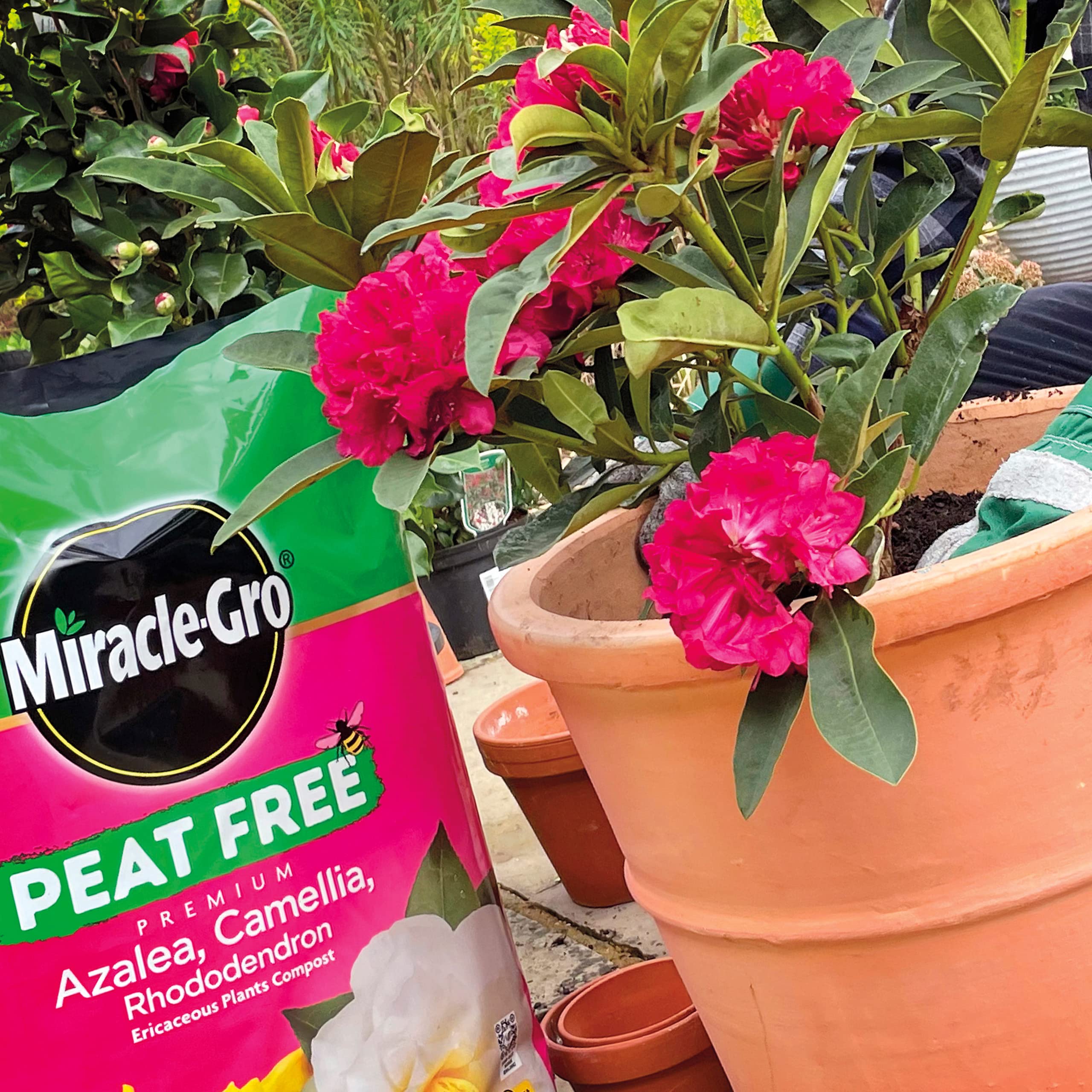 d68fe7a4d0378e47e4332cbe147e775f