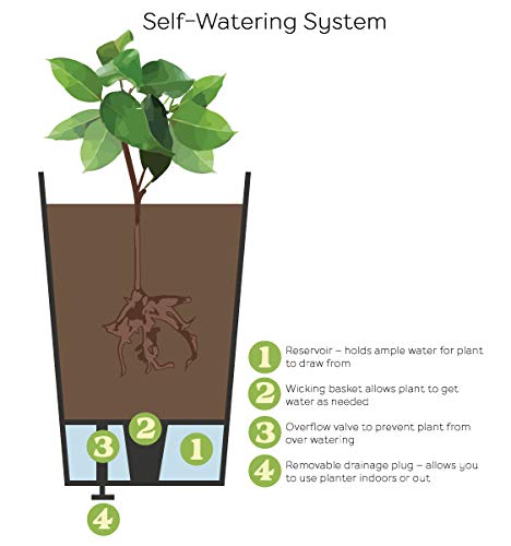 811db8d81c08f95c3e5479af80defbd3