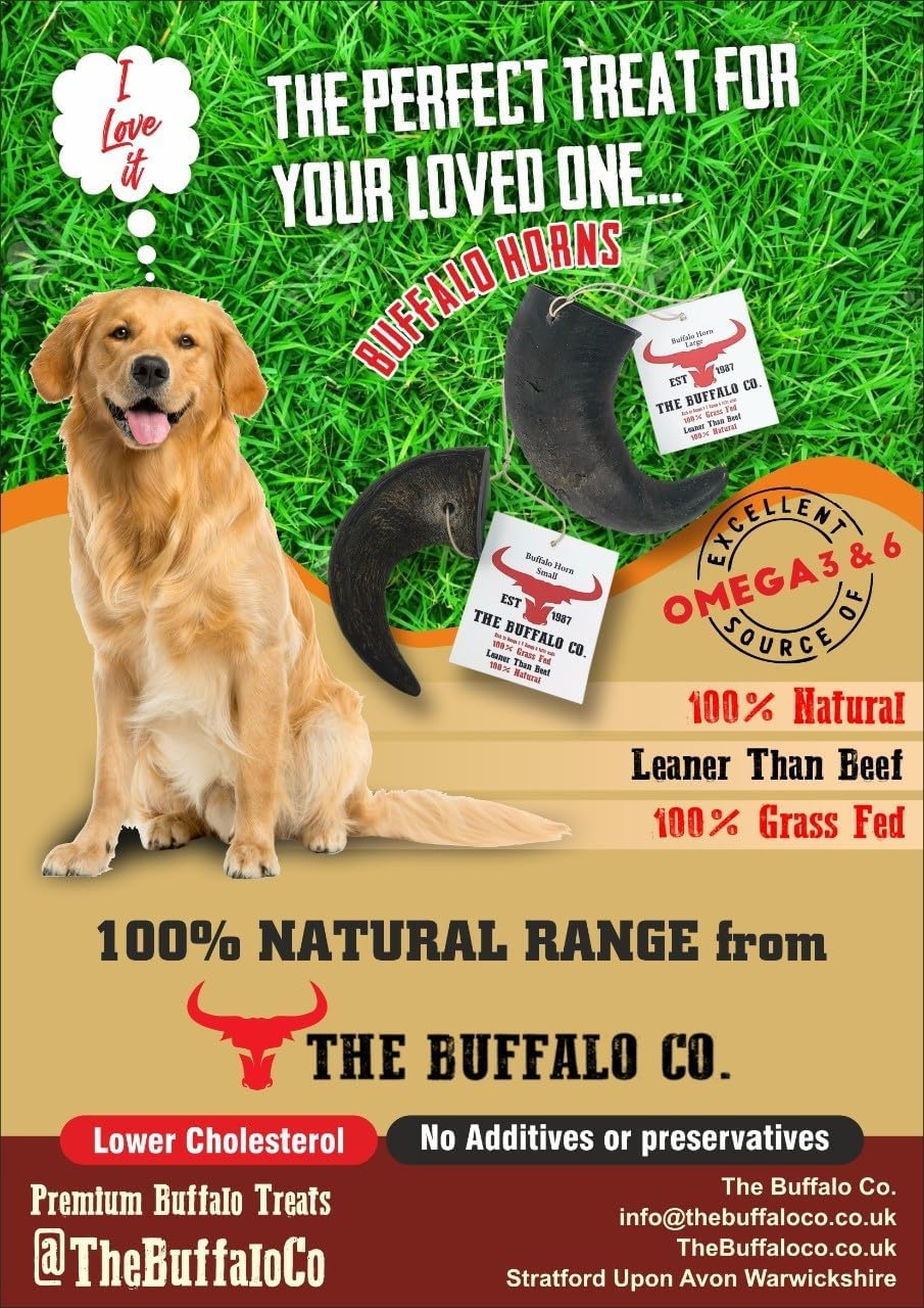 Buffalo Horn-Large (6-8 inch) Dog Treat from The Buffalo Co.