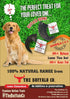 Buffalo Horn-Large (6-8 inch) Dog Treat from The Buffalo Co.