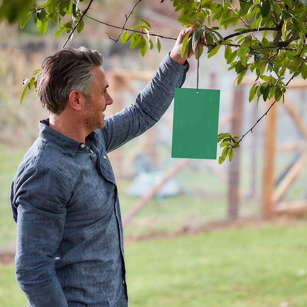 c70c8a84bd606fc59763d6151d903a01