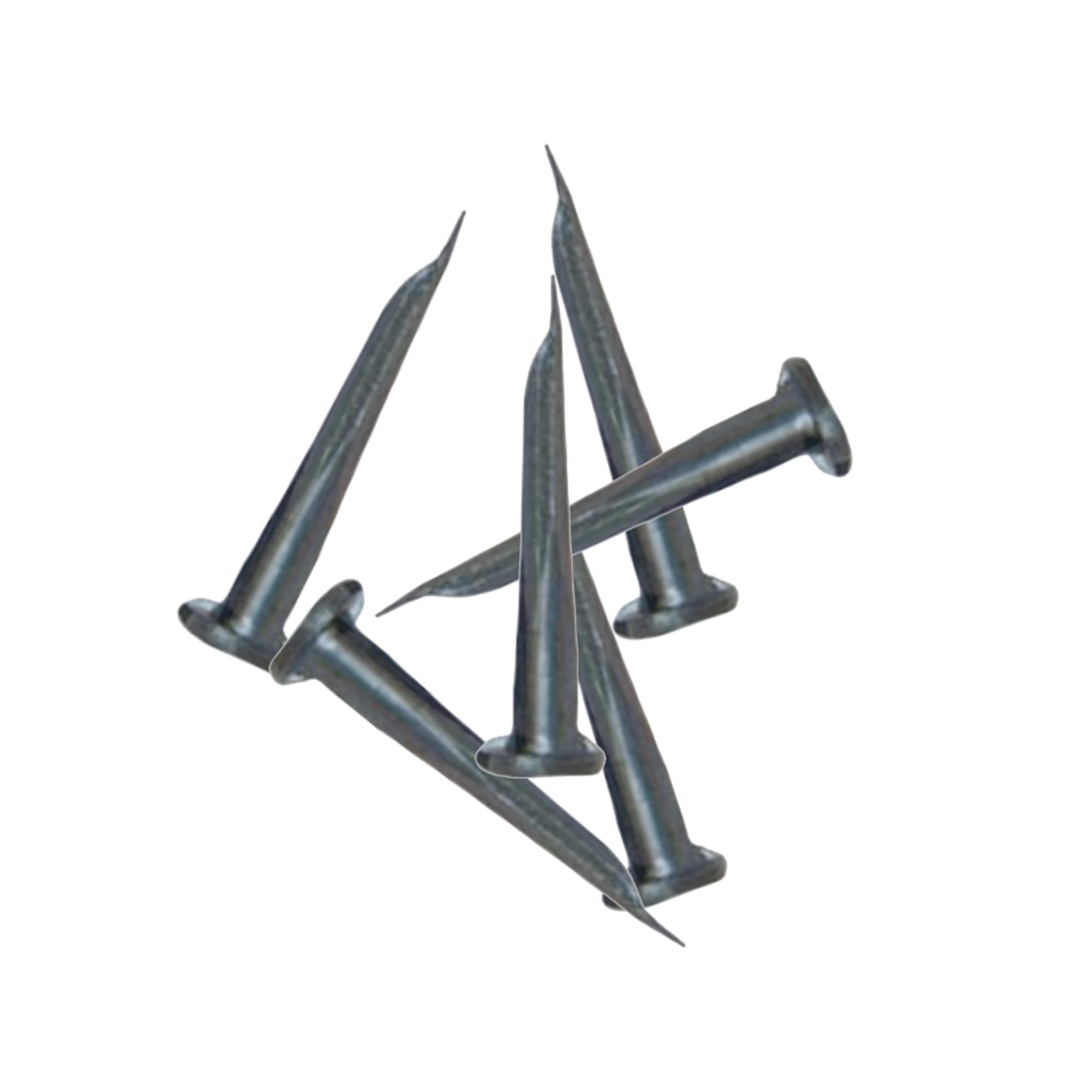 1cbe9e6d14941c94460adfc7b64a1959