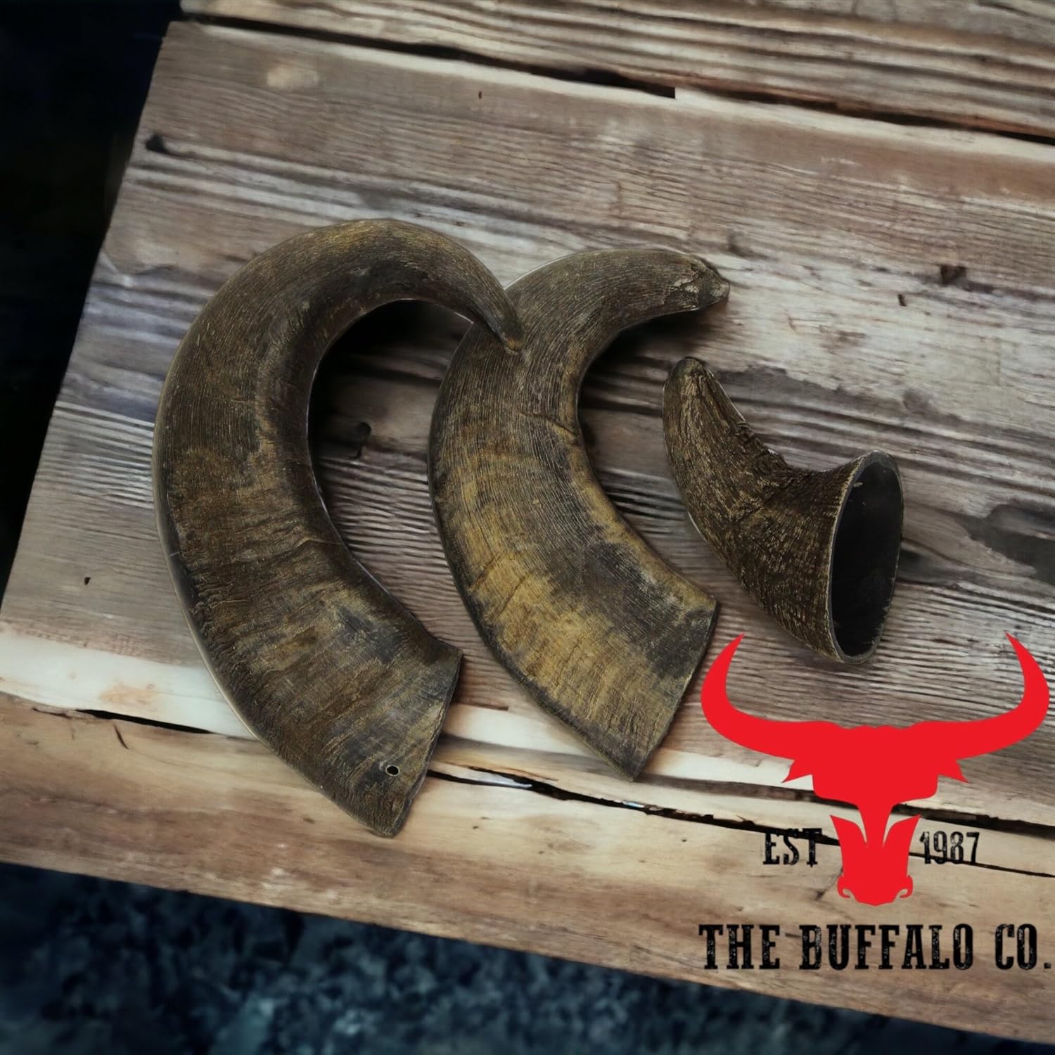 Buffalo Horn-Large (6-8 inch) Dog Treat from The Buffalo Co.