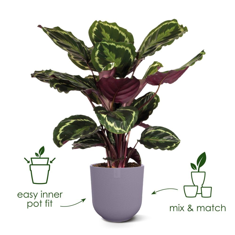 e04f18daf12ebfde99ec6ded4b5a4634