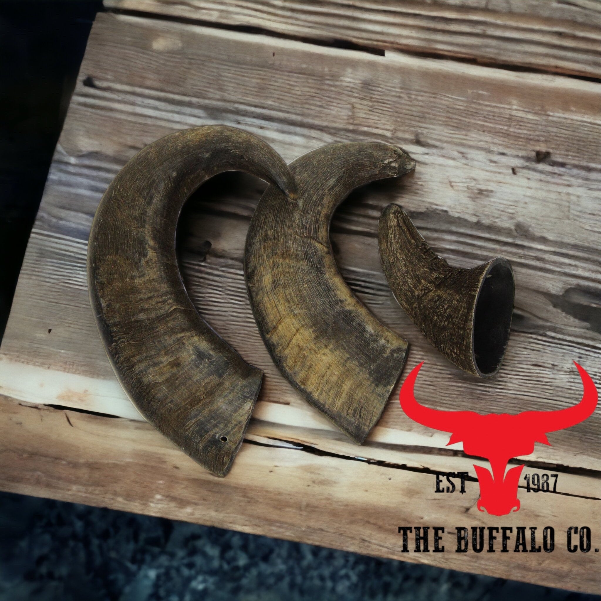 Buffalo Horn-Large (6-8 inch) Dog Treat from The Buffalo Co.