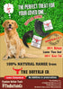 Buffalo Horn-Large (6-8 inch) Dog Treat from The Buffalo Co.