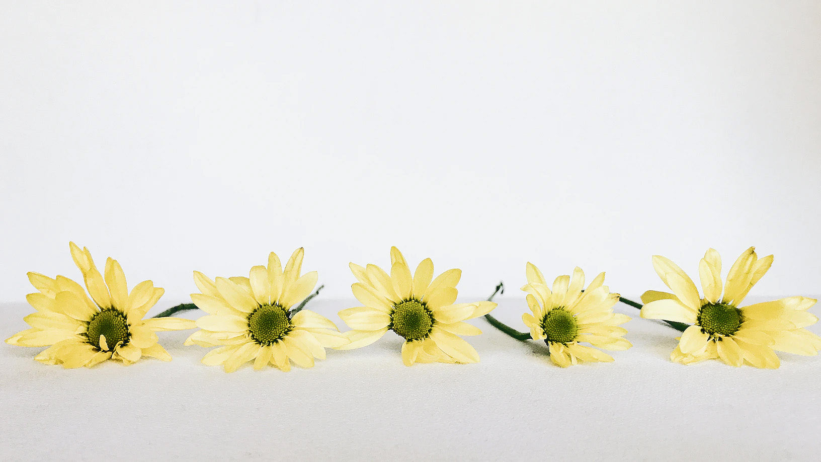 LiveMoor Multi-Use Fragrance Oils - Love Collection