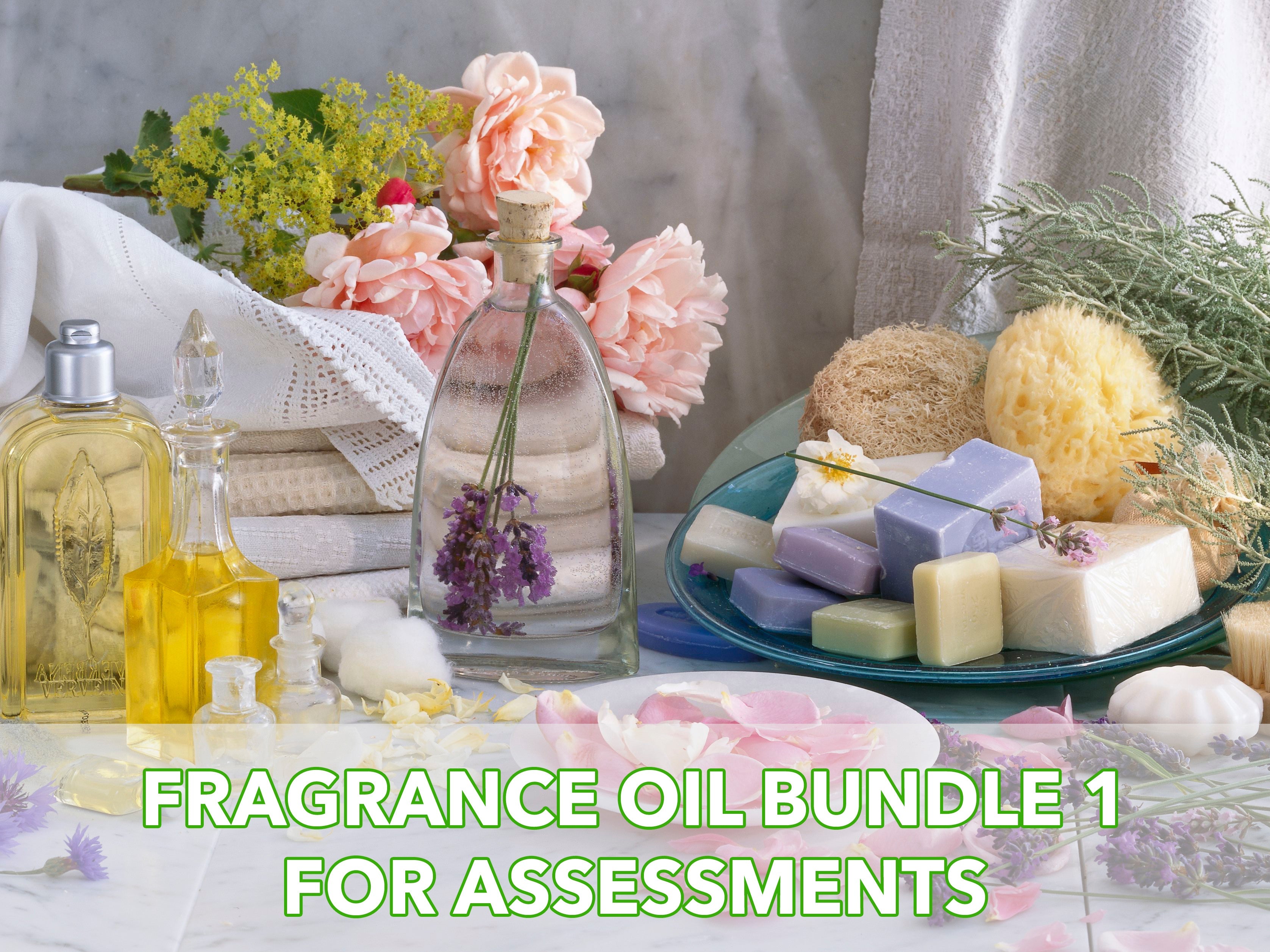 Fragrance Oil Bundle for Assessments (Bundle 1)