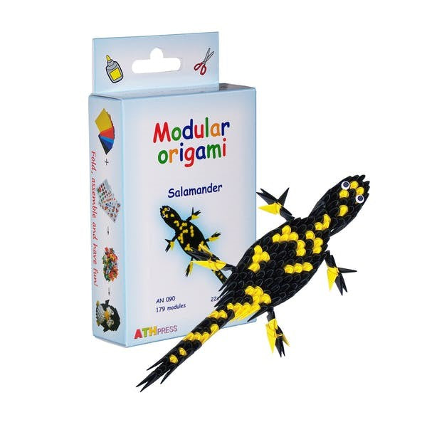 Modular Origami Kits