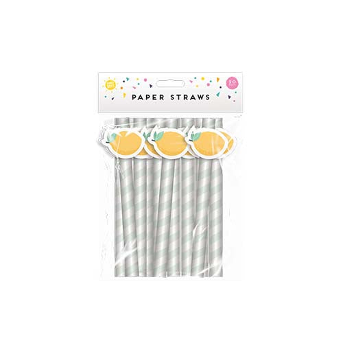 Summer Paper Straws - 20pk