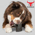 Buffalo Horn-Large (6-8 inch) Dog Treat from The Buffalo Co.