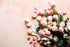 LiveMoor Multi-Use Fragrance Oils - Love Collection
