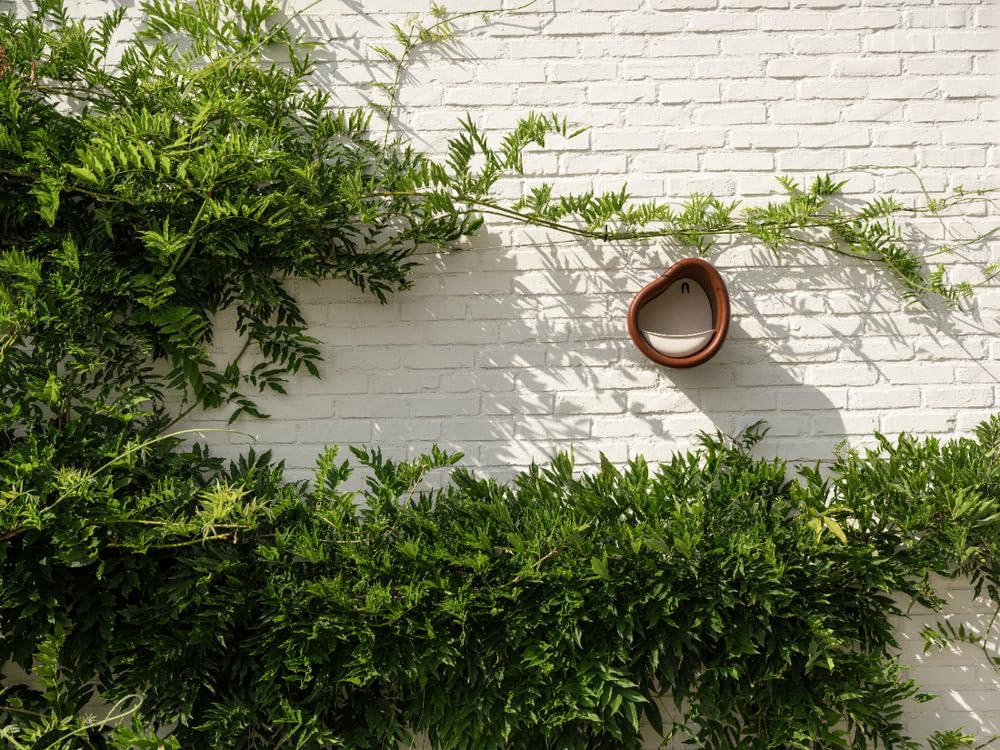 c91706a57941e8c0b8163549e7abc7ef