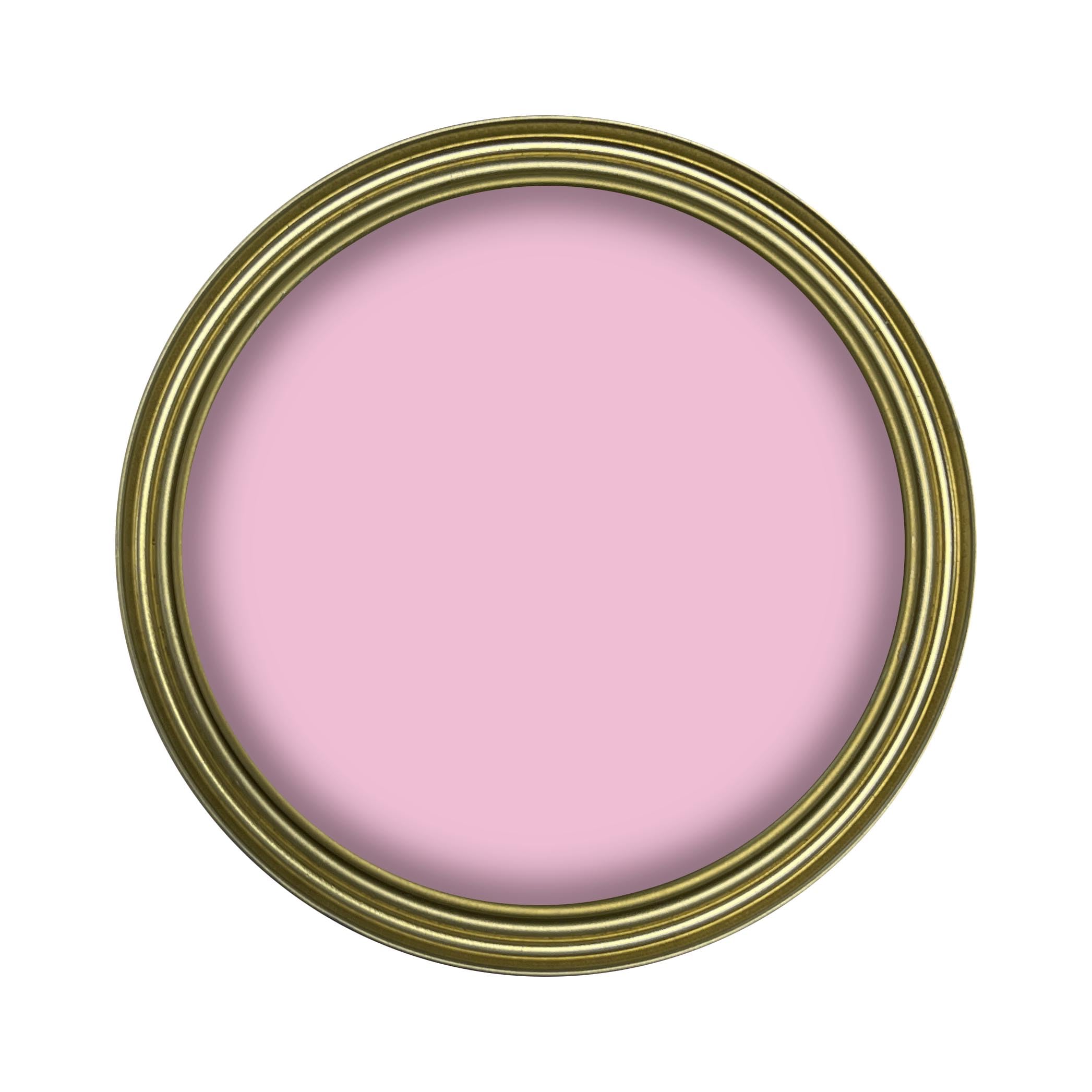6f1a6b5700dd1f3a3f8769a3eedf7c7a