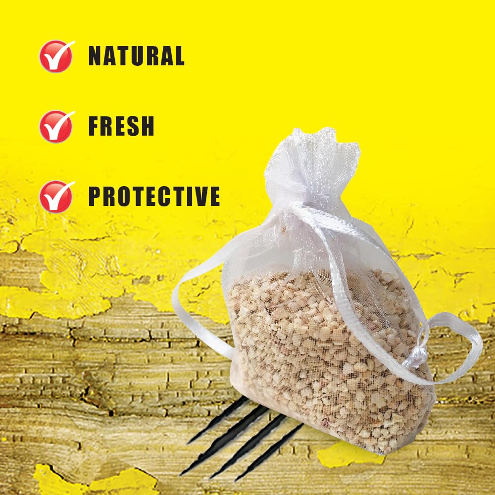 21c7d18a3a584fae90d2b01fc784bf1f