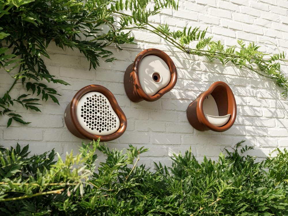 1ed1543a1d29adfe0681a1f0500ca11e