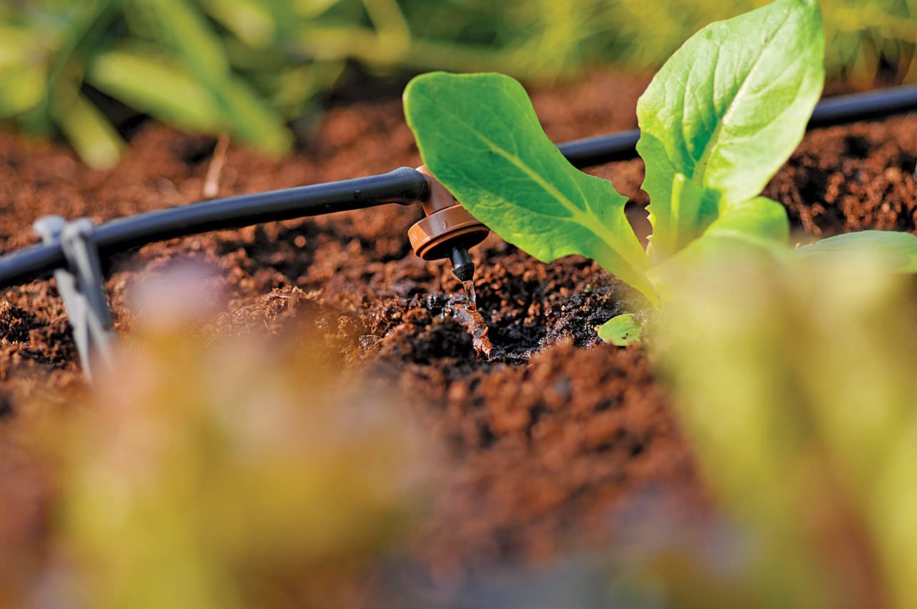 5a24c5241c219272e84f6f0ddd327427