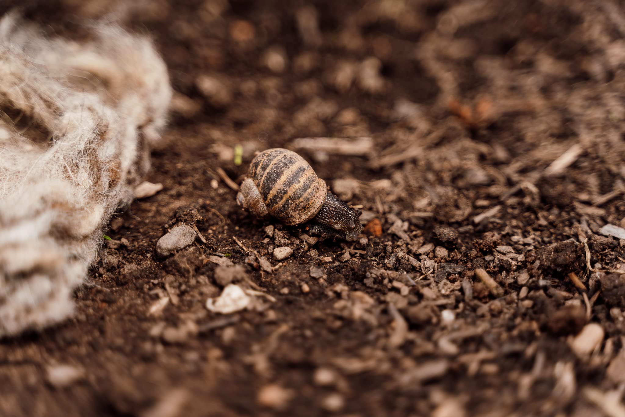 d47dfe1e9a0e3fba49117ebfc7c9dce3