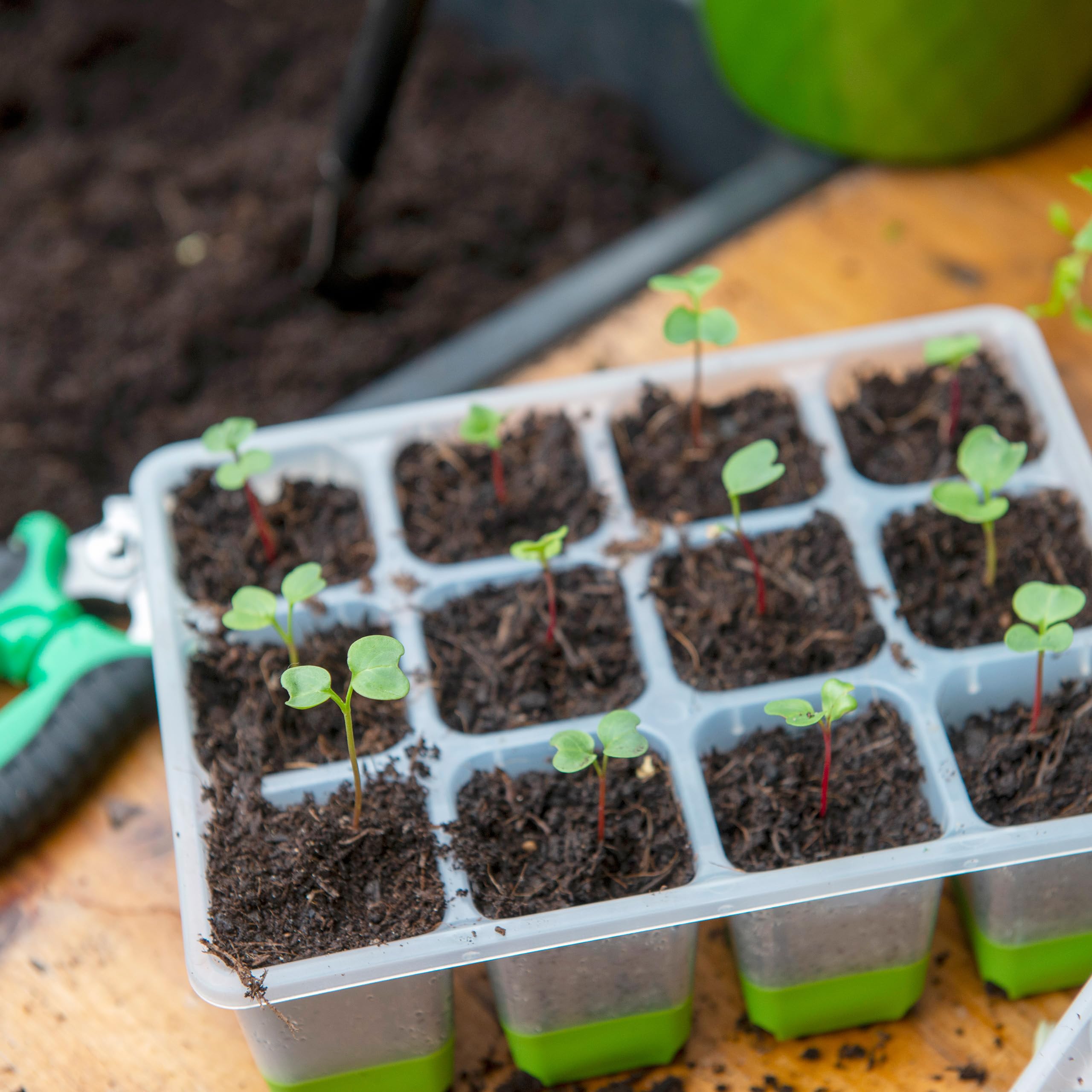 b033b43ab6d861d3d394f89ed59570a2