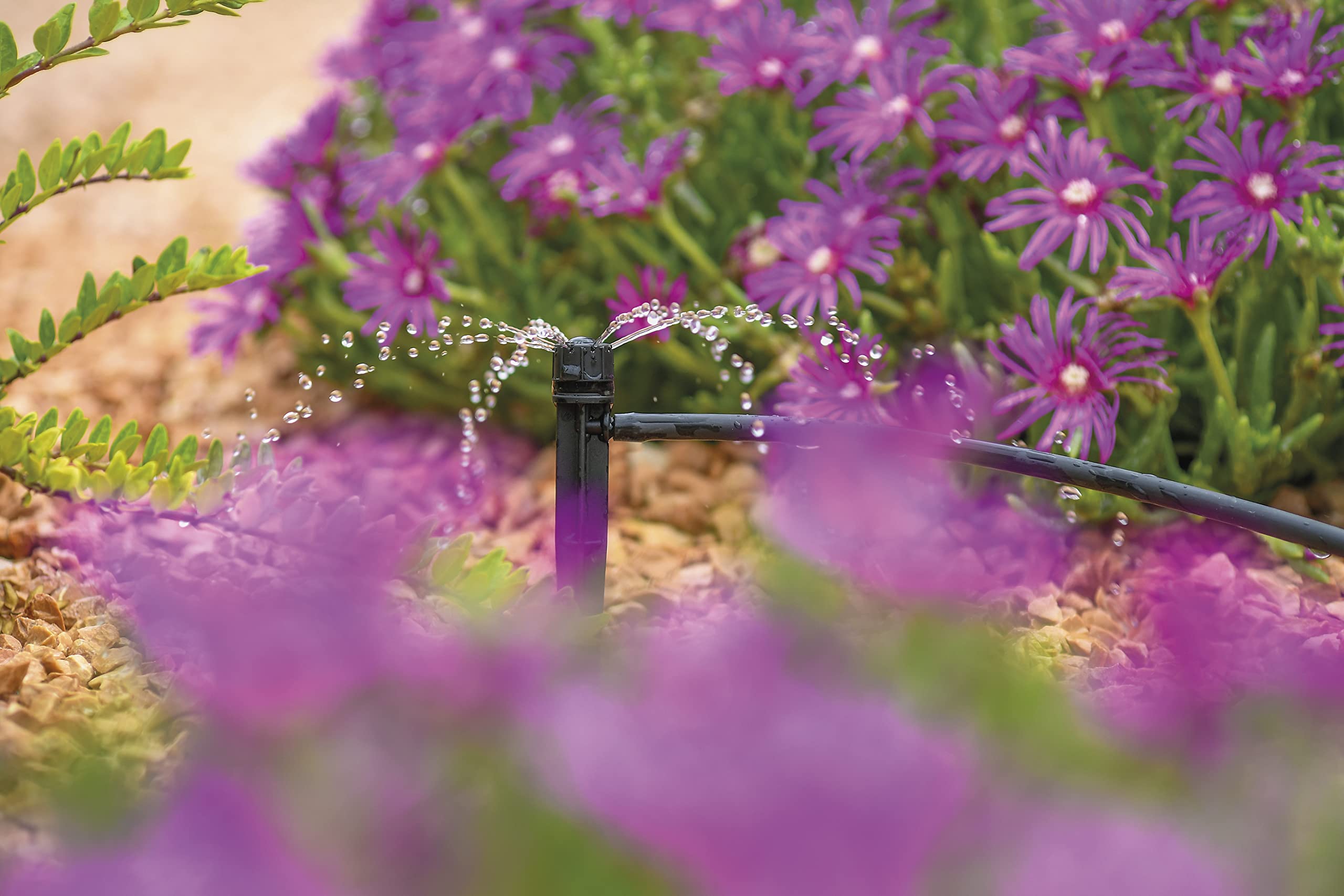 030ca19f76dcee0f798cb47fbca336f5