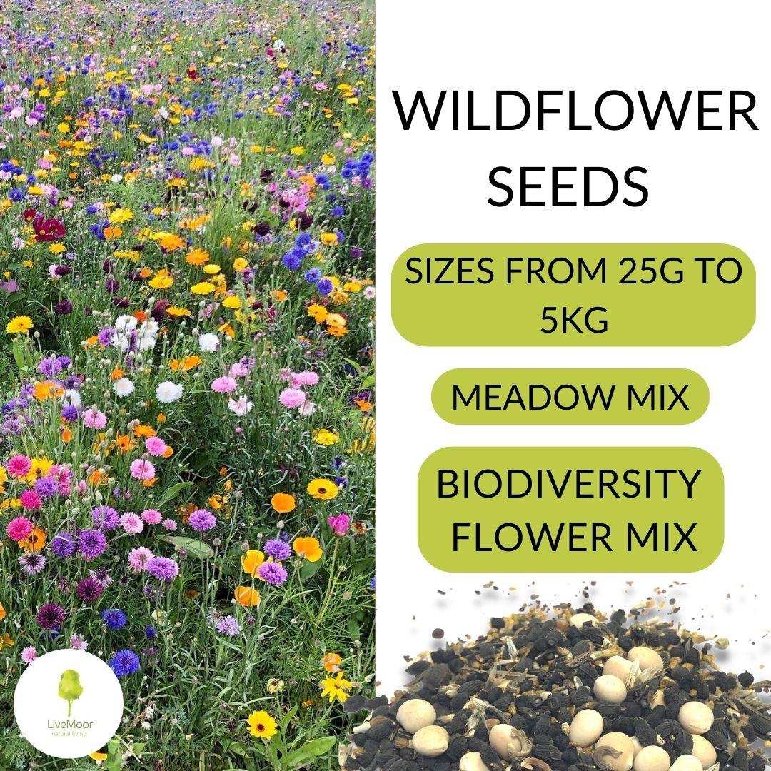 meadow flower seeds uk LiveMoor Wildflower Meadow Seeds