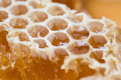Billede af naturlig honeycomb